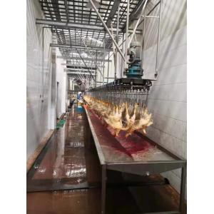 SS 304 Poultry Defeathering Equipment Halal Automatic Chicken Slaughtering