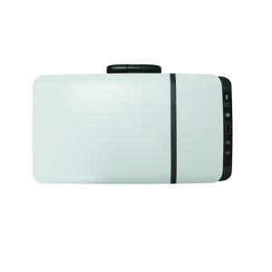 Trolley Type 30L Cooling Freezing Car Mounted Freezer