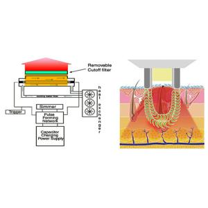 600000 Flashes IPL Diode Laser Hair Reduction , Vascular Diode Ice Laser Beauty
