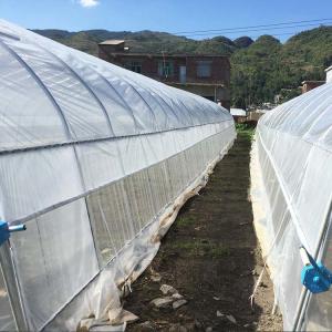 China Small Pvc Material Plastic Film Greenhouse Industrial Hydroponic on sale