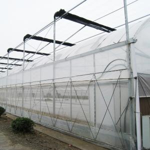 High Straight Wall Wind Resistant Multispan Greenhouse With Gutter
