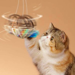 Dog Training Academy Training Mode Agility Training Customizable Feedback