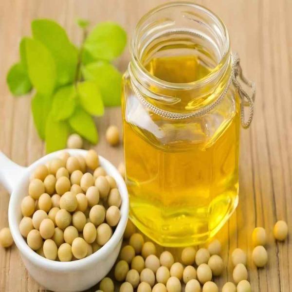 Automatic Cold Press Oil Extraction Machine Screw Press Oil Press for Coconut and Peanut Oil New Condition