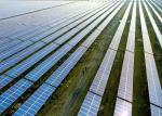Array Solar Panel Tracker System Position 1 Axis Solar Tracking System