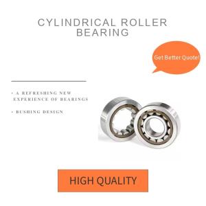 Automotive High Rigidity Single Row Cylindrical Roller Bearing, China Supply,