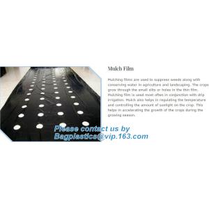 Perforated silver black mulch film for crop production,vegetable garden black /