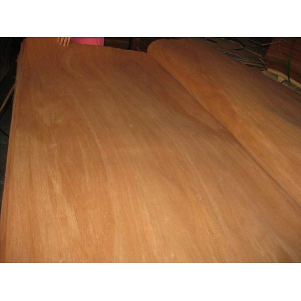 Buy Rotary Cut/Peeled Red Canarium Wood Veneer Sheet at wholesale prices
