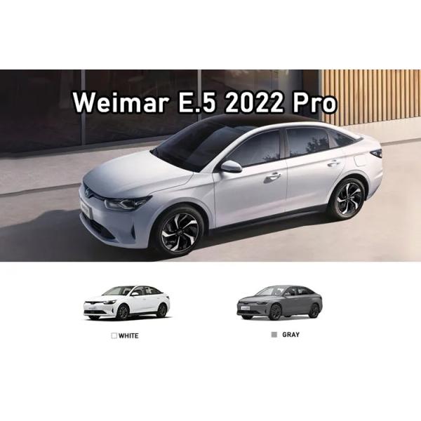2022 WM Motor E.5 Smart Four Door Five Seats Energy Vehicle with Long Battery Life