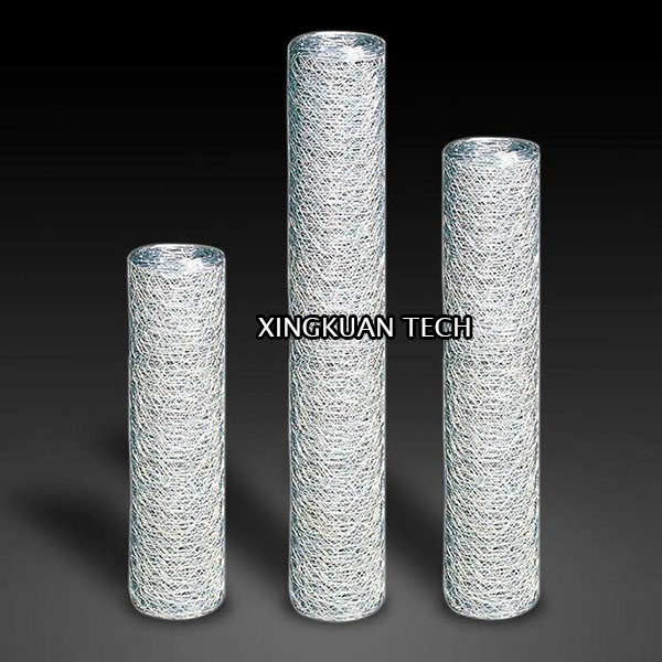 50mm 2'' Bird Cage Wire Mesh , Hot Dipped Galvanized Chicken Wire