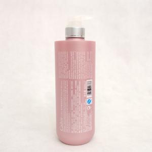PE Shampoo Bottle-22 with pump
