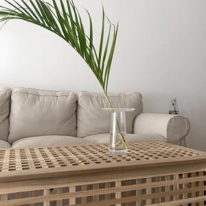 Family Decorative Crystal Borosilicate Glass Vases