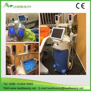 China antifreeze membranes for cryolipolysis machine hot selling  at home on sale