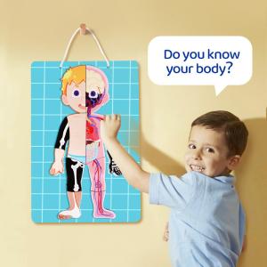 Body Parts Organs Puzzle Human Anatomy Puzzle Toys Boy Girl Anatomy Play Set For