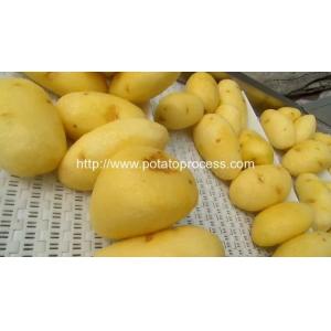 Full Automatic Potato Chips Production Line