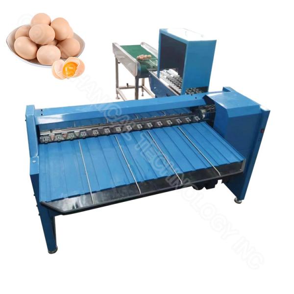 Egg Classification Machine Egg Grader Machine Egg Sorting Weight Sizing 4000