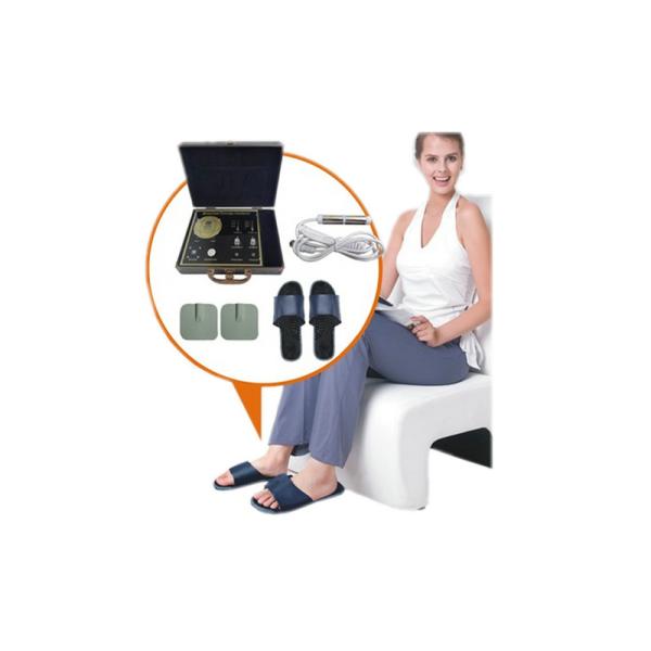 Buy Bioelectric Body Health Quantum Therapy Machine English Version at wholesale prices