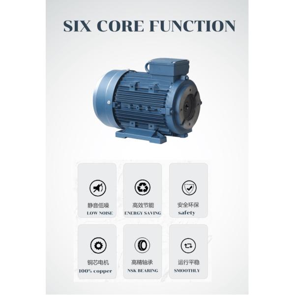 hydraulic motor