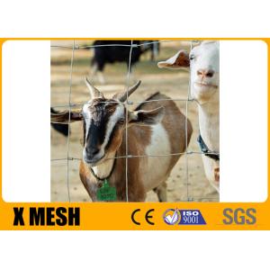 Hinge Joint Metal Farm Fence 2.5mm Wire Grassland Fence