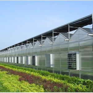 Large Aquaculture Tomato Cucumber Strawberry Hydroponics Greenhouse with High