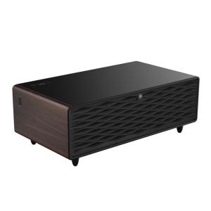 2024 Primst Intelligent Mini Refrigerator with Music Player and Multi-purpose