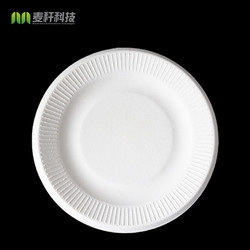 Compostable Bagasse Disposable Pulp Paper Dishes Foodware Small Custom