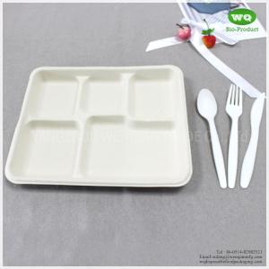 100% Biodegradable Sugarcane Pulp 5 Compartments Tray-High quality Biodegradable