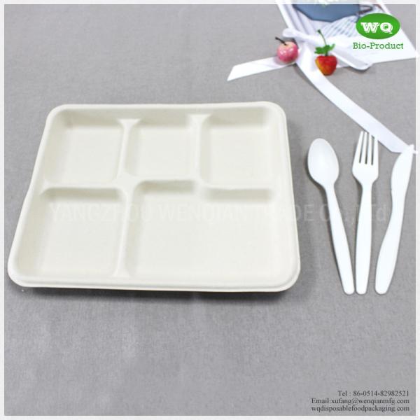 100% Biodegradable Sugarcane Pulp 5 Compartments Tray-High quality Biodegradable