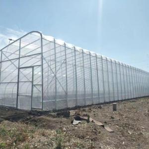China Plastic Film Solar Passive Greenhouse With Rainwater Collection Support on sale