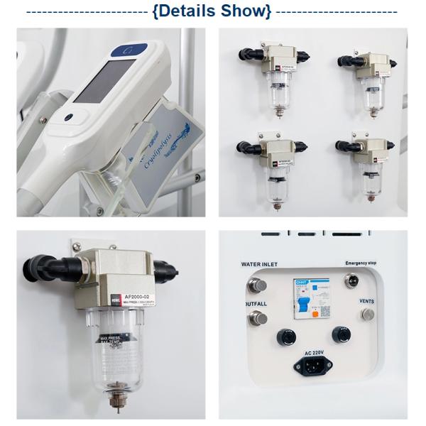 Professional 4 cryo handles body sculpting slimming machine feature cryolipolysis