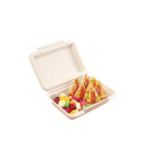 Clamshell 9×6 Inch Biodegradable Microwavable Food Containers