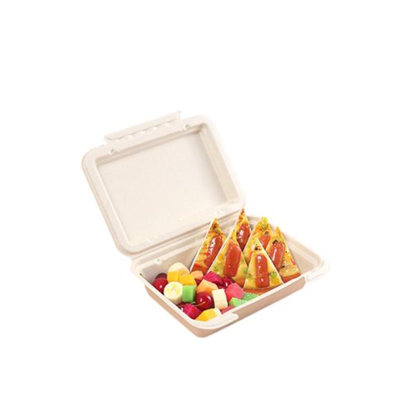Buy Clamshell 9×6 Inch Biodegradable Microwavable Food Containers at wholesale prices
