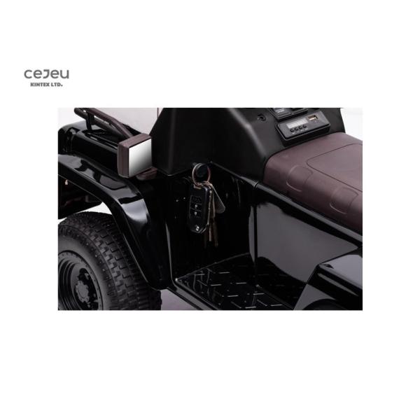 Ride on car. Electric children's toy car. Vintage cuteness/children's gift/blue/red