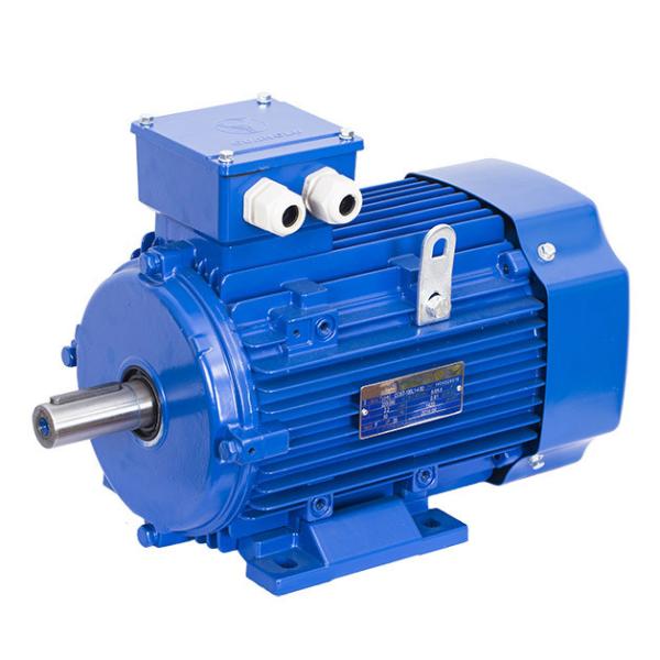 Buy Gost Standard motor at wholesale prices