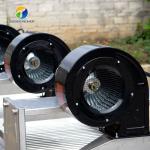 Customization Ozone Sterilization Fruit And Vegetable Processing Line Dry