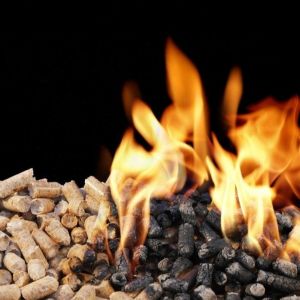 High Efficiency 15kw Wood Pellets Machine Cow Feed Sawdust Pellet Maker