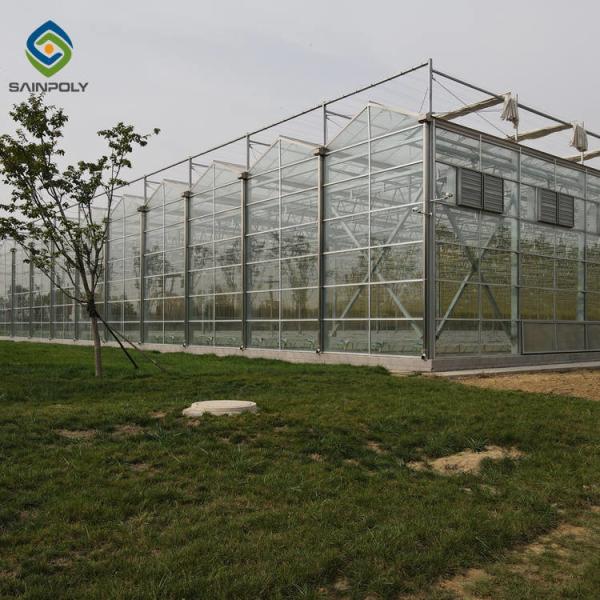 Buy Agricultural 120km/H 10.8m Multi Span Glass Greenhouse at wholesale prices