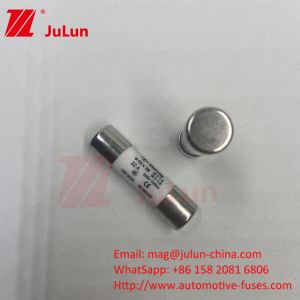 PV 10A FUSE Ceramic Fuse Panel Mount Pv String Fuses 10*38mm