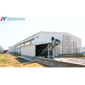 Galvanized Steel Poultry Shed for Large-Scale Chicken Farming