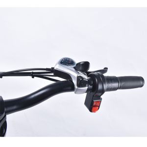 6Speed Fat Wheel Folding Electric Bike , 120KG Load Folding Mountain Ebike