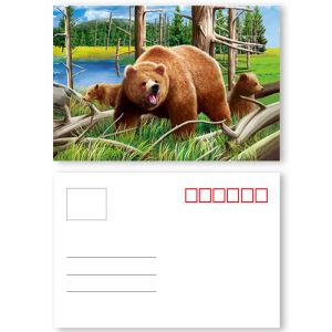 China Fashion Eco - Friendly 3D Plastic Cards / Lenticular Postcard Printing on sale