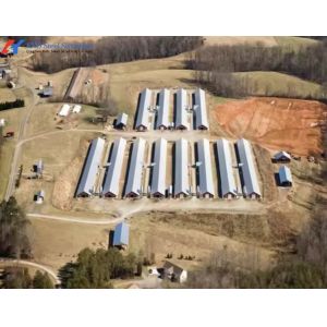 Custom Prefab Layer Chicken House with Automatic Feeding System