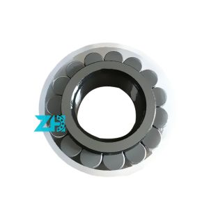 CPM2165 Cylindrical Roller Bearing 20X36.81X16mm Double Row Full Complement