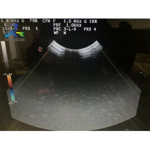 CA123 Ultrasound Probe Repair Maintenance Replace Crystal