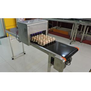 High Speed Dates Or Logo Egg Printing Machine With Computer Control