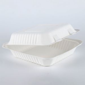 biodegradable catering sugarcane pulp molded paper food packaging