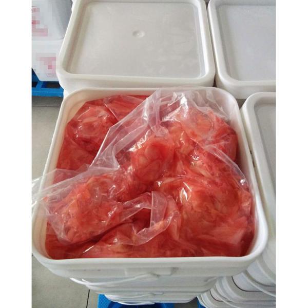 Water Preservation Process Sweet Pickled Sushi Ginger in Bulk for Japanese Delicacies