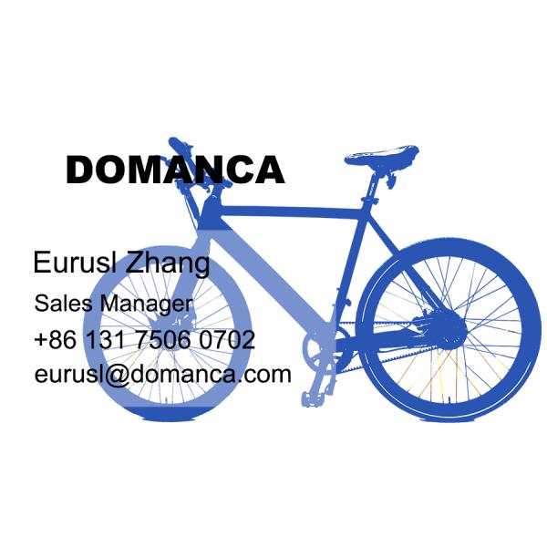 48V Samedi 750W Electric Fat Bike 26 inch Carbon Fiber Cruiser 4-6 Hours Charging Time