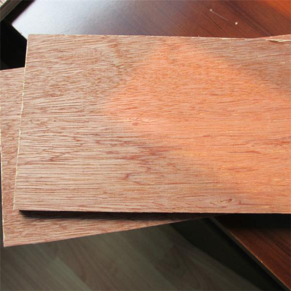 Poplar Core E0 Glue 1220*2440mm Bintangor Plywood