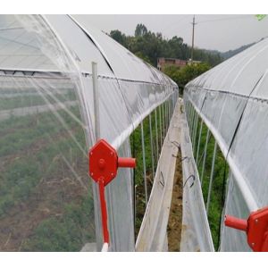 Galvanized Steel Pipe Single Span Side Ventilation Plastic Film Tomato