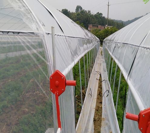 Galvanized Steel Pipe Single Span Side Ventilation Plastic Film Tomato